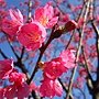 IMG_1074.JPG