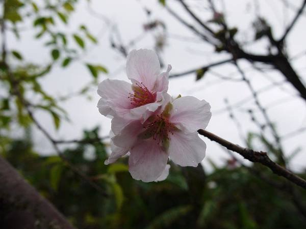 P1130440