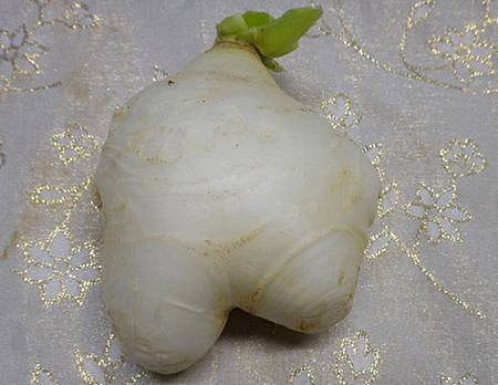 蘿蔔貢丸拉麵1.jpg