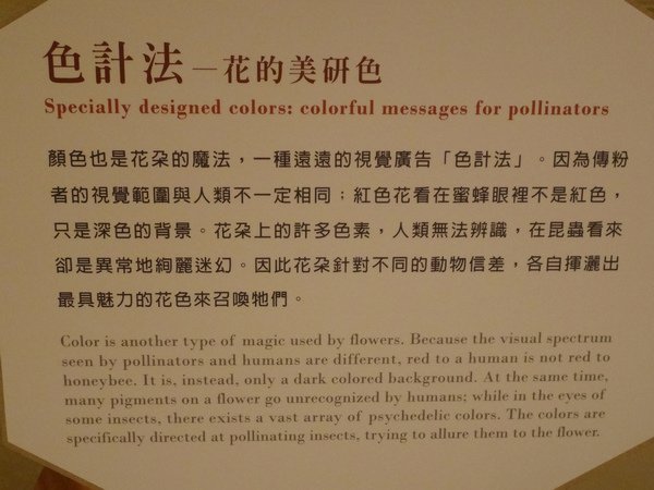台灣博物館~植物的魔法特展52.JPG