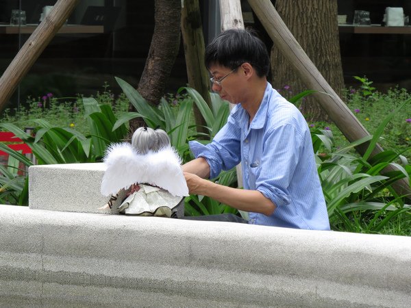 台博館南門園區20.JPG