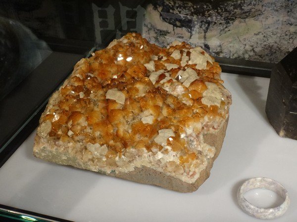 DSC06818.JPG