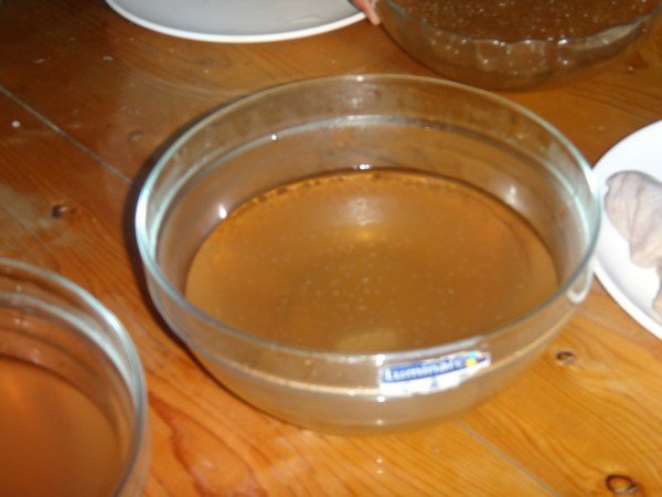 DSC03142.JPG