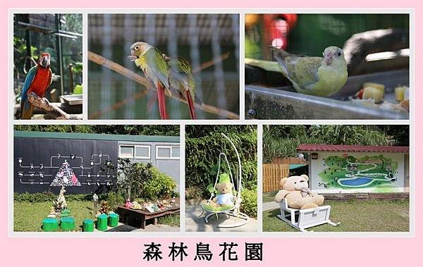 鳥花園.jpg