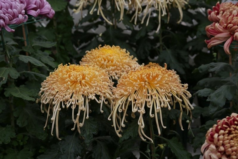 B98A6592.JPG
