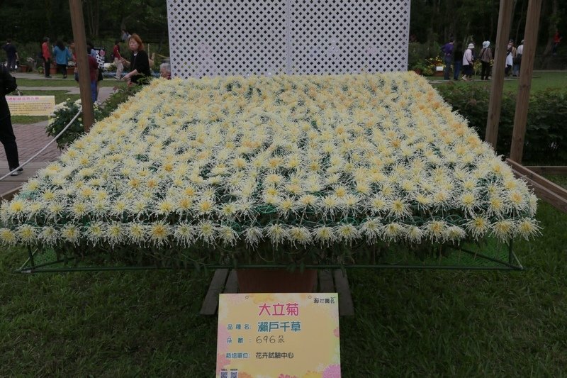 B98A6594.JPG