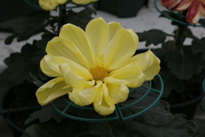 B98A6603.JPG