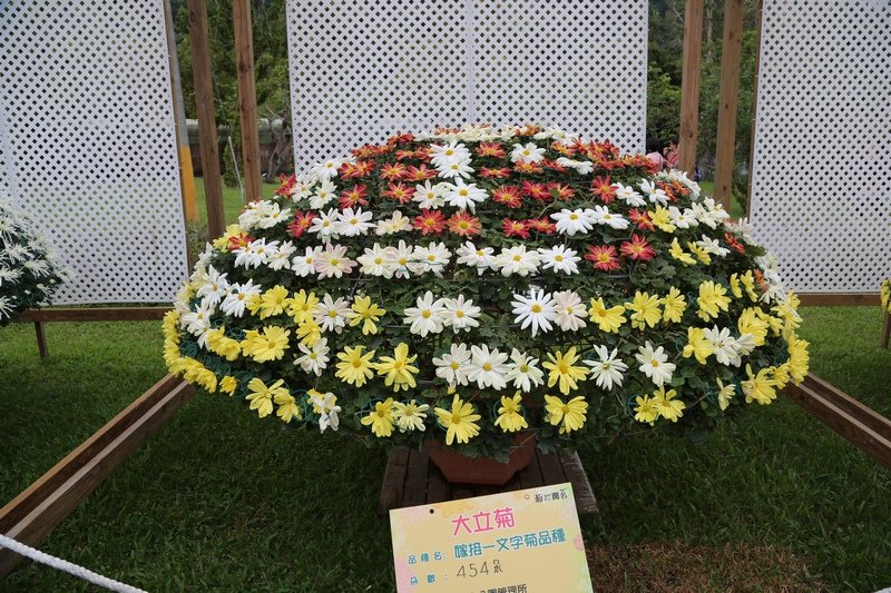 B98A6615.JPG