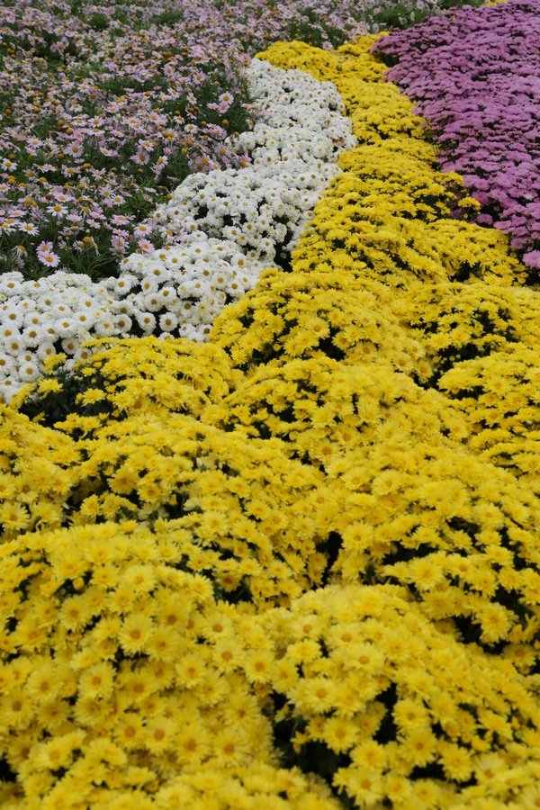 B98A6623.JPG