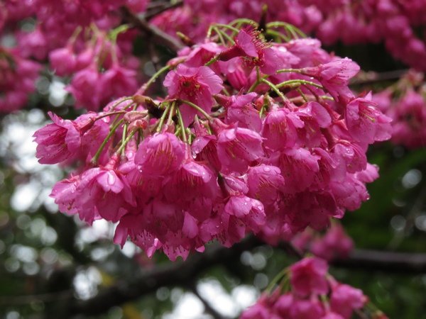 IMG_8183.jpg