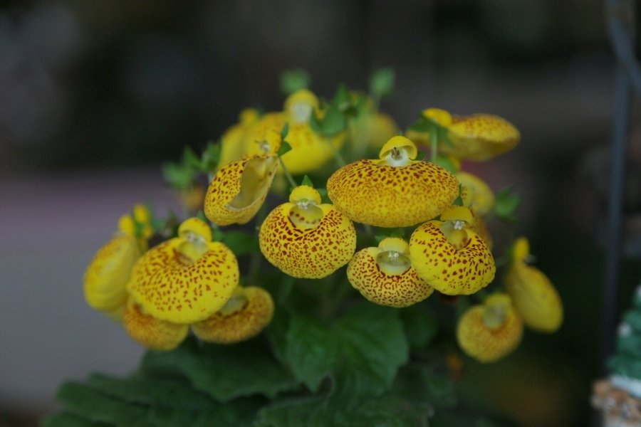 B98A9206.jpg