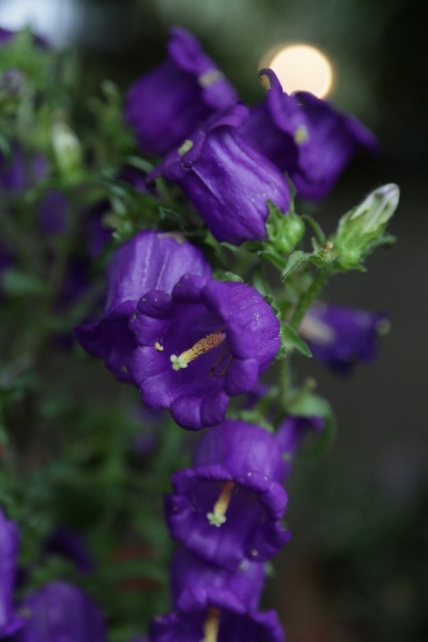 B98A9208.jpg