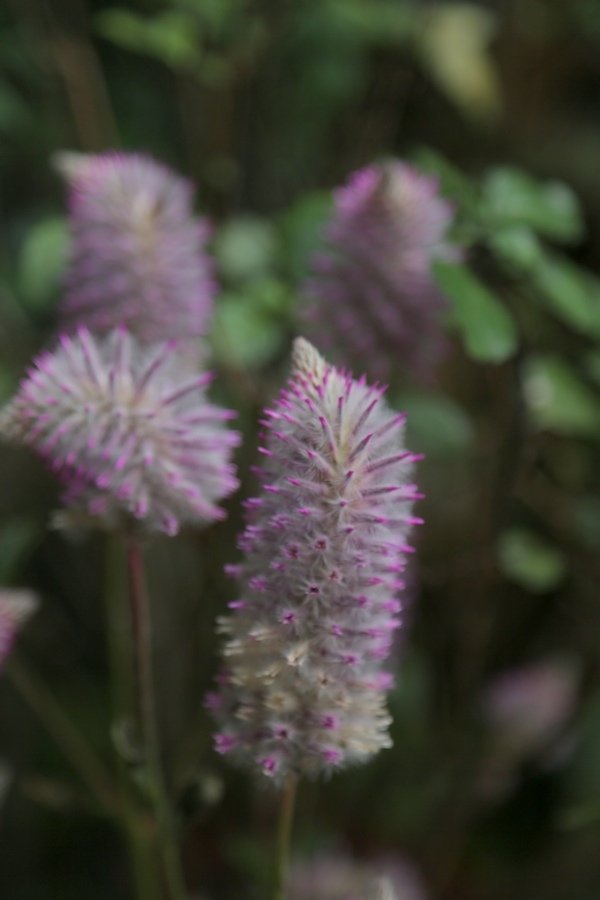 B98A9209.jpg