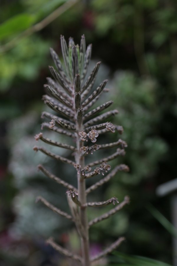 B98A9217.jpg