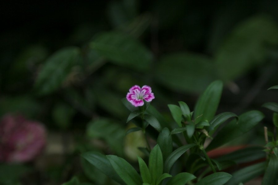B98A9224.jpg