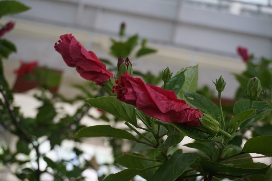 DSC03818.jpg