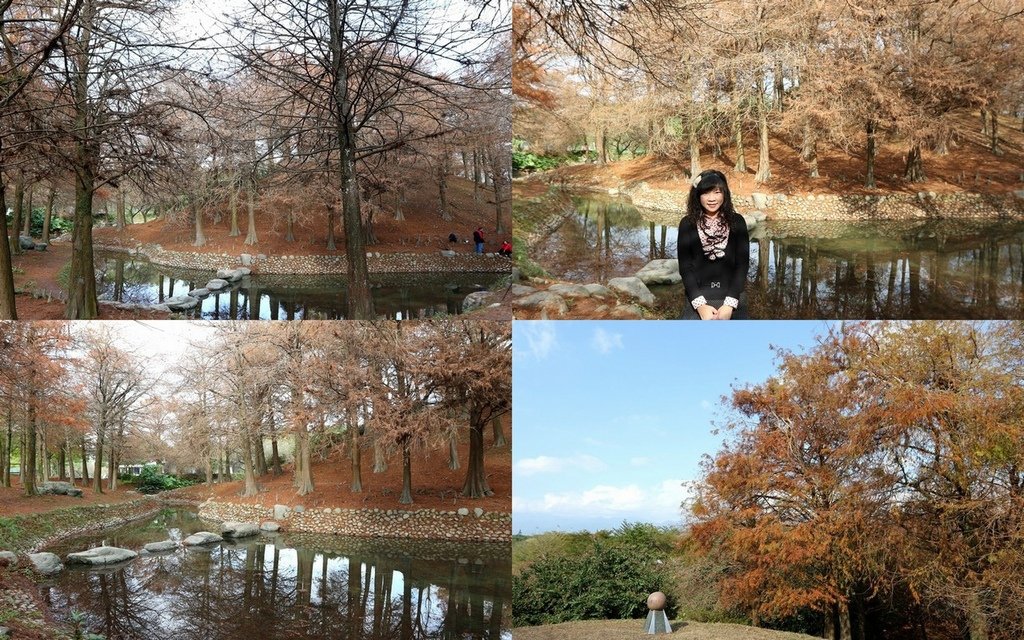 羅東運動公園.jpg