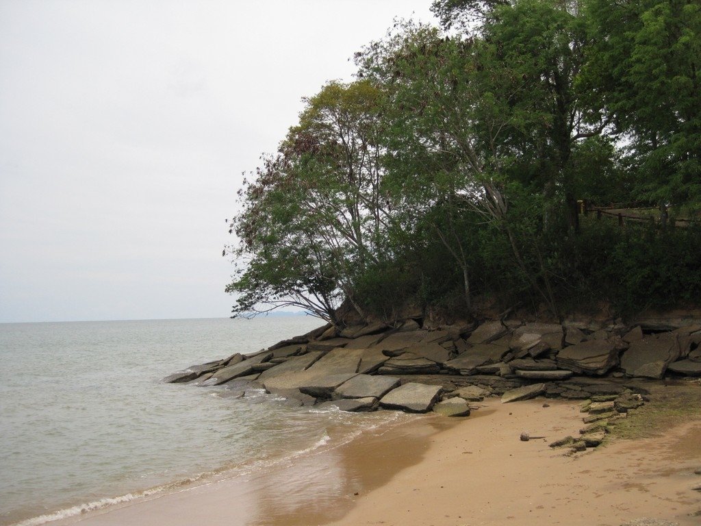 IMG_7095.jpg