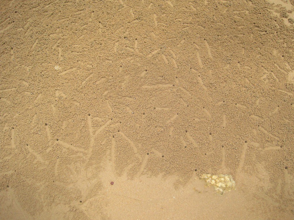 IMG_7101.jpg