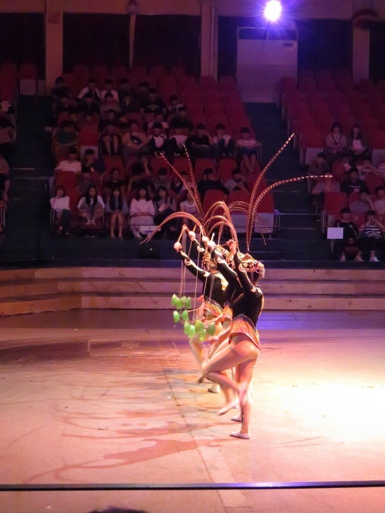 IMG_0335.jpg