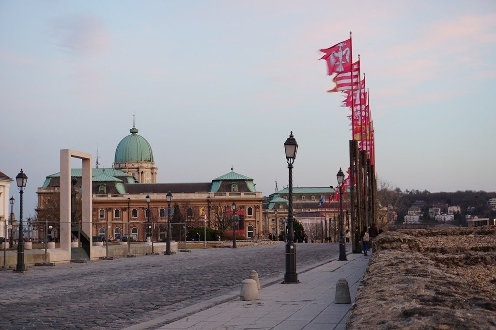 DSC01395.jpg