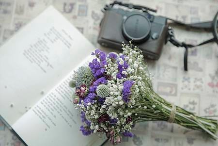 DY2A8461.jpg