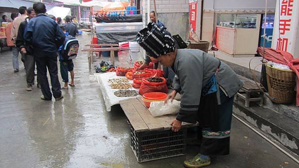 IMG_8424.JPG