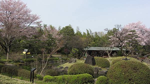 IMG_9755.JPG