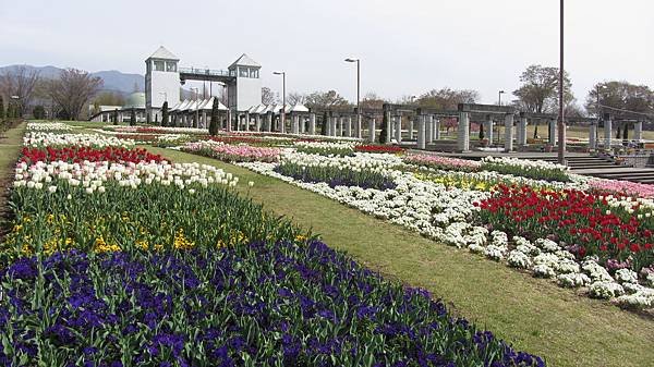 IMG_9744.JPG