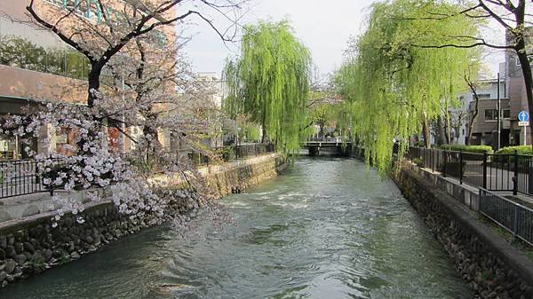 IMG_9830.JPG