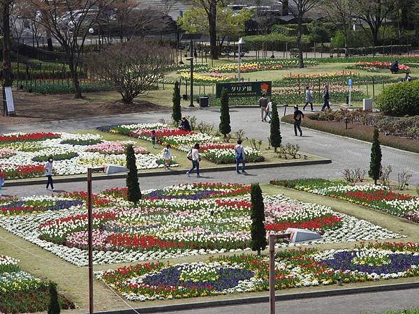 DSCN0576.JPG