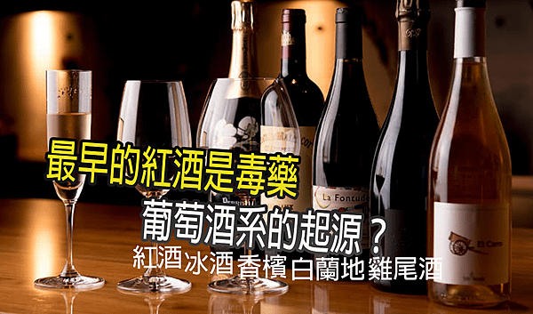 葡萄酒起源.png