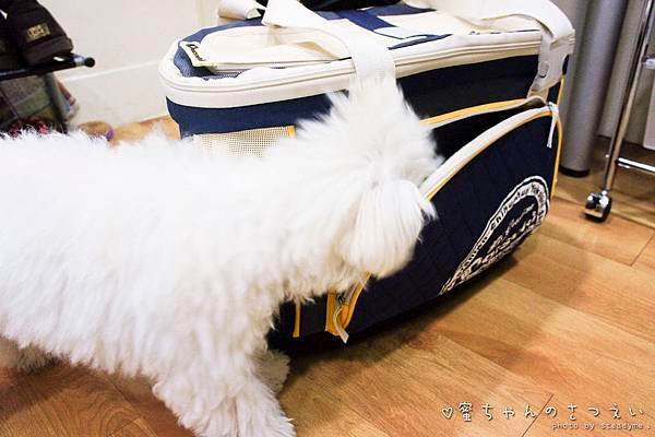 20140120-DSC03062.jpg