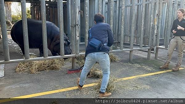 LINE_ALBUM_日間動物園_230711_2.jpg