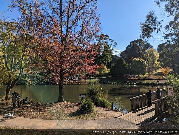 【澳洲輕旅行-Melbourne墨爾本】澳洲保存最完好的蒸汽