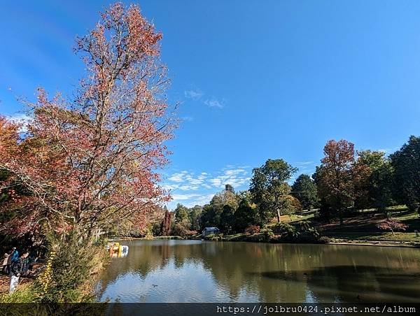 【澳洲輕旅行-Melbourne墨爾本】澳洲保存最完好的蒸汽