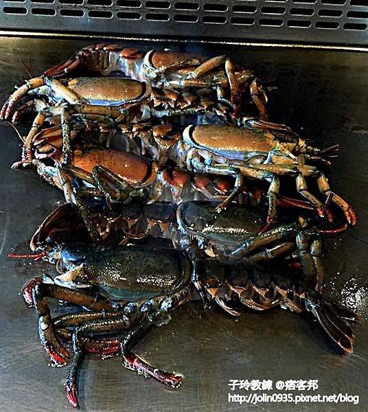 部落格