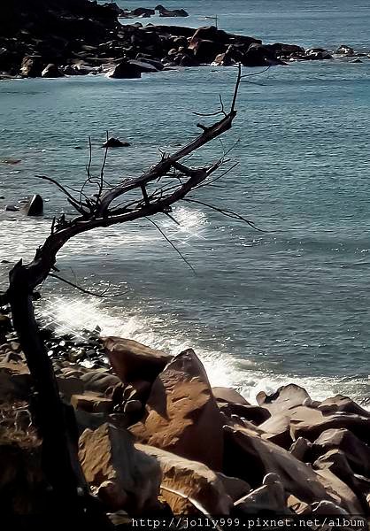 望海
