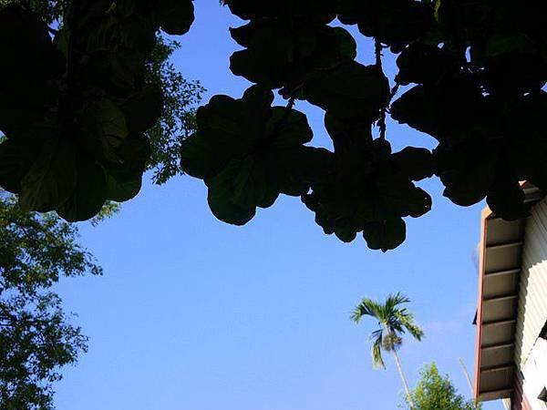 P1090821.JPG