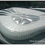 DSCN6908.jpg