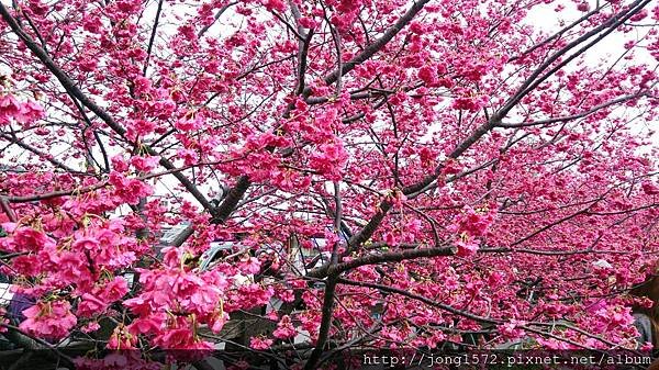 DSC_1876.JPG