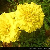 DSC_4067.JPG