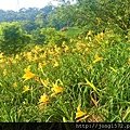 DSC_4891.JPG