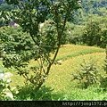 DSC_4761.JPG