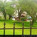 DSC_4881.JPG