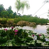 DSC_4994.JPG