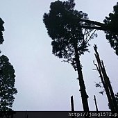 DSC_6457.JPG