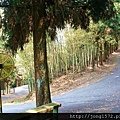 DSC_0420.JPG