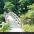 DSC_0229.JPG