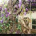 DSC_0382.JPG